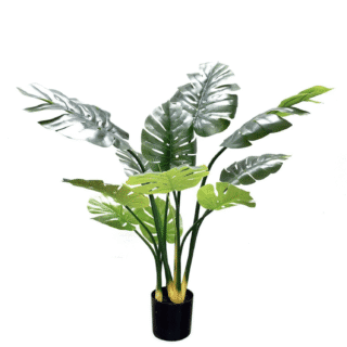 Cây giả trầu bà CAY2
