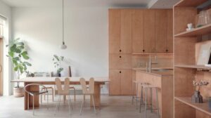Công ty Plan Plan sử dụng "vật liệu giá cả phải chăng" cho việc cải tạo căn hộ ở Brooklyn