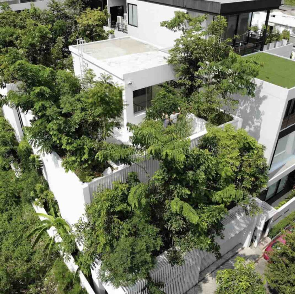 Ảnh chụp bởi Prapan Napawongdee