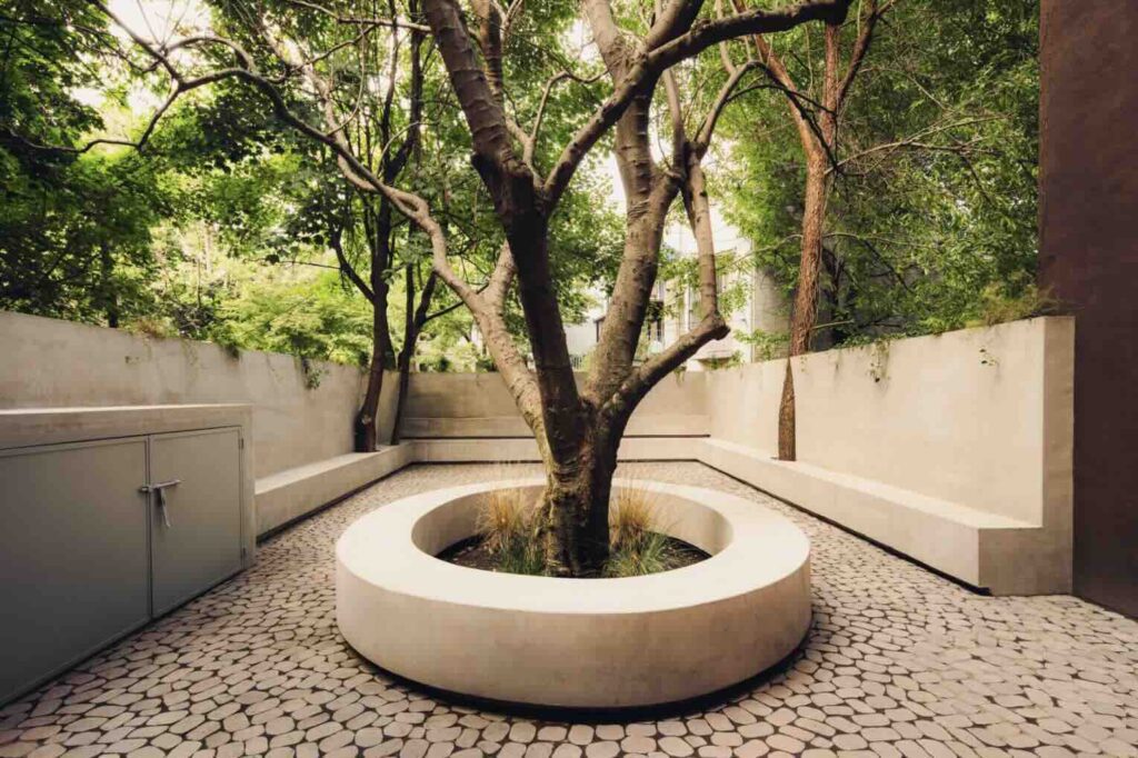 Sân sau lấy cảm hứng từ kiến ​​trúc thô mộc của Brazil.